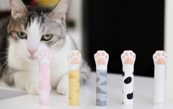 Cat Kiss 療癒義賣【CATISS × 目目非營利】