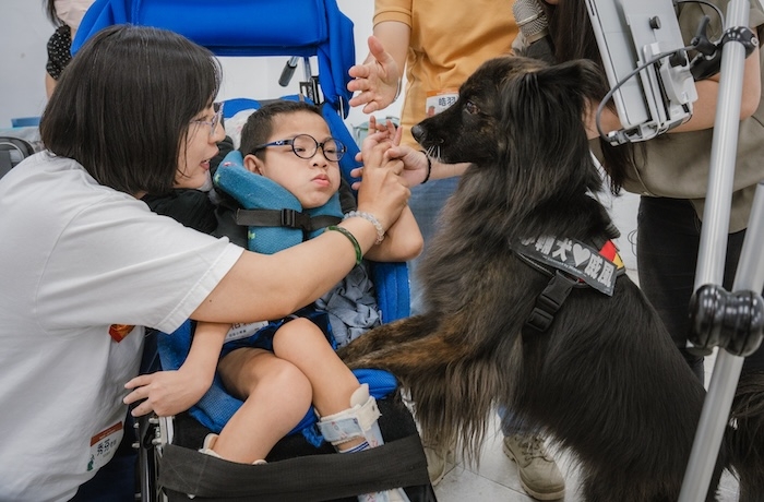 新鮮毛體驗！狗老師心輔犬「戚風」的台中眼動團課