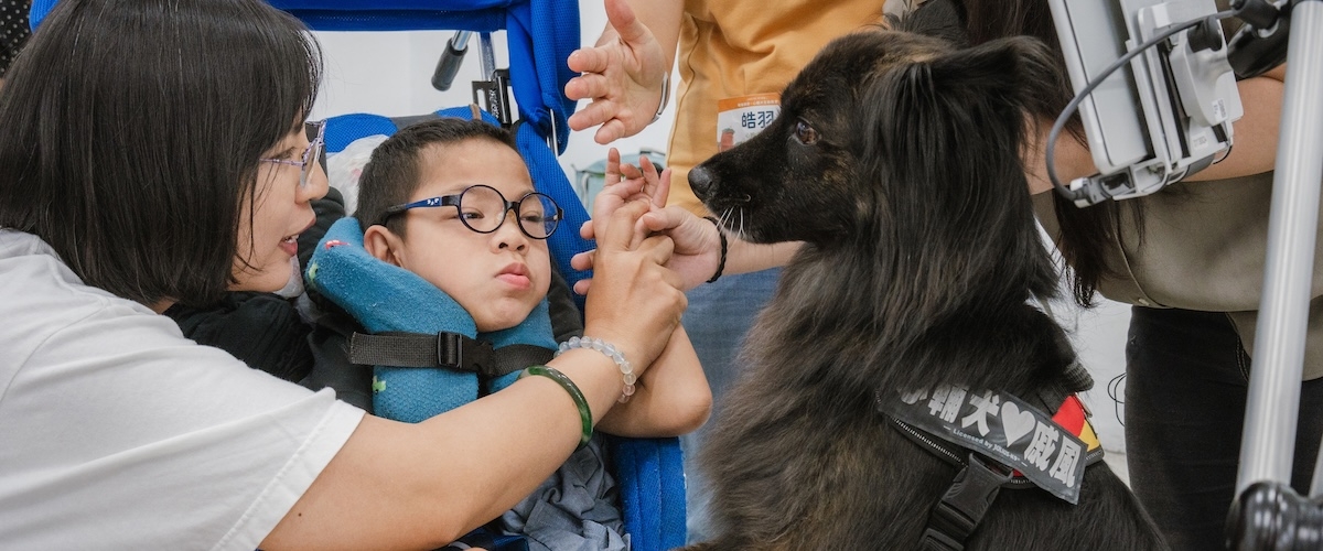 新鮮毛體驗！狗老師心輔犬「戚風」的台中眼動團課