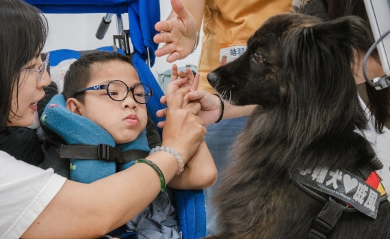 新鮮毛體驗！狗老師心輔犬「戚風」的台中眼動團課